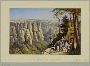 Blick von der Bastei bei Rathen in der Sächsischen Schweiz nach Nordosten über den Wehlgrund auf die kleine Gans