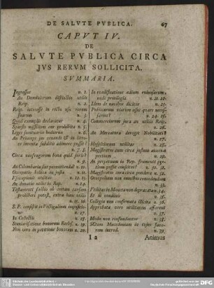 Caput IV. De Salute Publica Circa Ius Rerum Sollicita