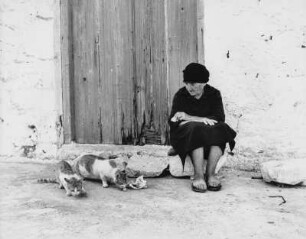 Alte Frau mit streunenden Katzen