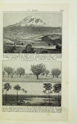 Der Chimborazo