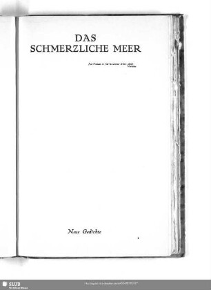 Das schmerzliche Meer