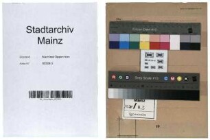 Korrespondenz und Aktennotizen über Mainzer Schulen