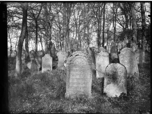 Bödigheim Jüdischer Friedhof 3 Grabsteine