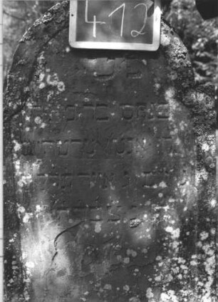 Grabstein 412 (Index: 99895869) Material: Sandstein Zustand: leicht verwittert und bewachsen, im unteren Teil abgeblättert Maße HxBxT: 146x65x9 cm Beschreibung: Stele mit eingezogenem Rundbogenabschluss: Grabstein 412 (2)
