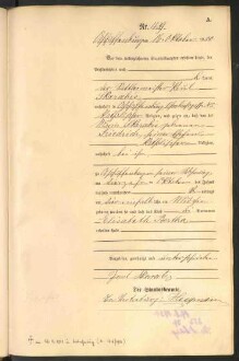 Standesamtsbuch der Stadt Aschaffenburg: Geburten 365/1900 - 184/1901