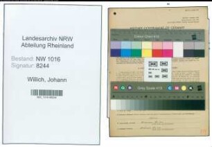 Entnazifizierung Johann Willich , geb. 19.02.1900 (Landwirt)