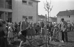 Pflanzung einer Linde im Schulgarten der Siemensschule anläßlich des "Tag des Baumes".
