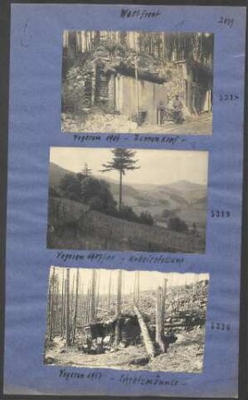 Vogesen 1917/1918 - Urbaistellung