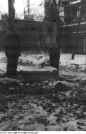 Dresden. Stukenroden für die frierende Bevölkerung im Winter 1946/47, 1947