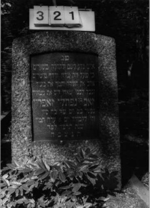 Grabstein 321 (Index: 100094632) Material: Granit Zustand: gut Maße HxBxT: 91x55x27 cm Beschreibung: konische Stele, Segmentbogenabschluß, Schriftplatte: Grabstein 321