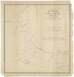 Plan über den Gemeinde-Wald von Rüppurr auf dortiger Gemarkung