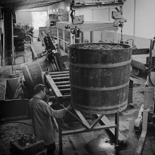 Archivfotografie "kaiserstuhl_ihringen_1807neg"