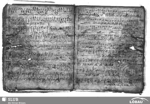 Anonymus: Gaudete omnes in Domino diem festum