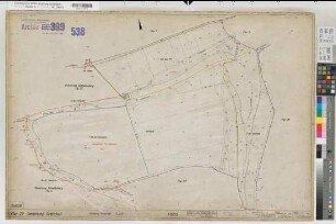Grafschaft (Schmallenberg), Umlegung Grafschaft, Bl.26 Zuteilungskarte Flur 29