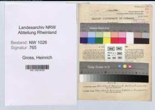 Entnazifizierung Heinrich Gross , geb. 16.01.1903 (Postschaffner)