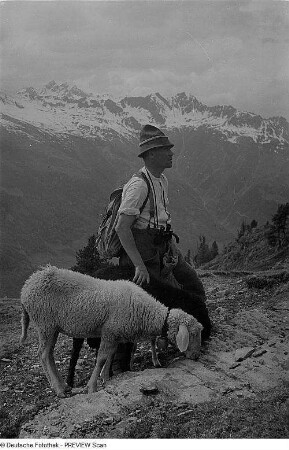 Schafherde und Schäfer im Ötztal