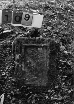 Grabstein 109