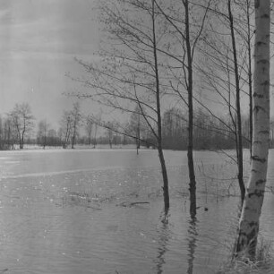 Landschaftsbild. Frühling im Spreewald. Leiper Weg. Die Wiesen sind überschwemmt. : Wobraz krajiny. Nalěćo w Błótach. Puć w Lipjem. Łuki su přepławjene.
