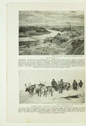 Russische Tundra im Winter. Samojeden mit Renntieren