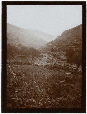 Seitental des w. bettir v. Bahnhof [Wadi Bettiir]