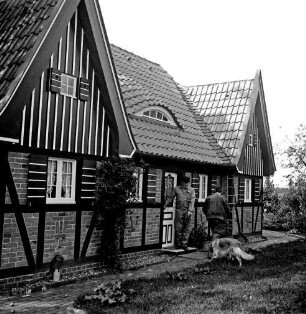 Siebenbäumen (Kreis Herzogtum Lauenburg): Siebenbäumener Mühle: Restaurierung: restauriertes und wiederaufgebautes Fachwerkhaus des Gutes Trenthorst: davor zwei Männer und Hund: vorn Rasenfläche: hinten rechts Büsche