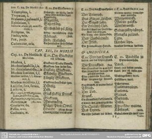 Cap. XXI. De Morbis & Medicina