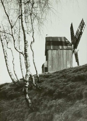 Riesa-Weida, Bockwindmühle