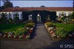 Potsdam, Neuer Garten, Sommerbepflanzung im Blumengarten vor der Orangerie.