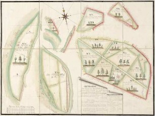 Plans über die Churfürstliche Cammeral-Waldungen des Kefferthaler Forstes Ober Amts Heidelberg de Anno 1792
