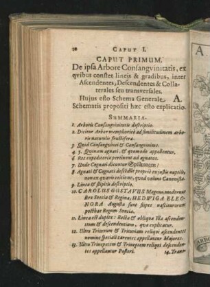 Caput Primum. De ipsa Arbore Consanguinitatis, ex quibus constet lineis & gradibus, inter Ascendentes, Descendentes & Collaterales seu transversales.