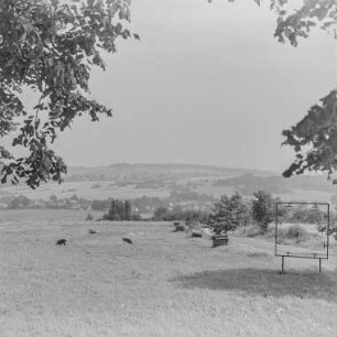 sieben Linden, Steinigtwolmsdorf, Hohwaldschänke