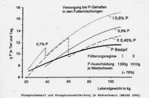 Phosphorbedarf und Phosphorausscheidung je Mastschwein (Weiss 1992)