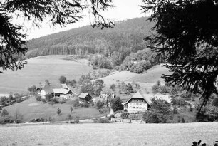 Siensbach: Bauernhöfe im oberen Tal