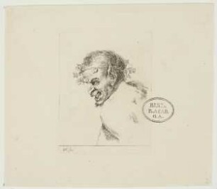 Studie, Kopf eines Satyrs im Profil