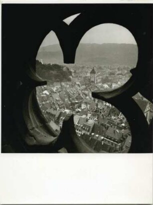 Blick vom Freiburger Münster