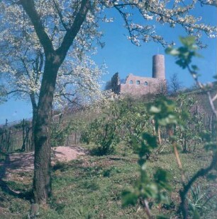 Heppenheim (Bergstraße). Blick zur Starkenburg (1065)