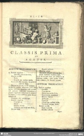 Classis Prima De Acetis