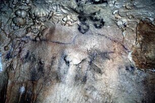 Grotte du Portel: SW200324
