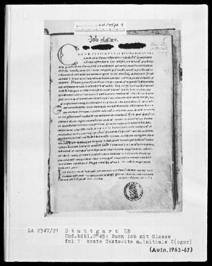 Buch Job mit Glosse — Initiale C(ogor), Folio 1recto