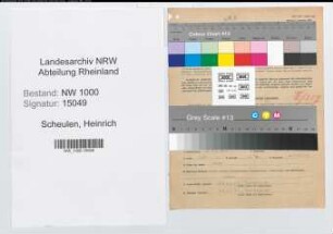 Entnazifizierung Heinrich Scheulen, geb. 30.05.1898 (Angest.)