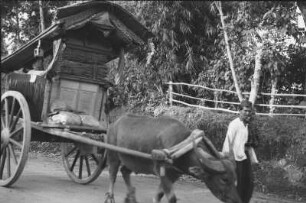 Minangkabau Wagen (Exkursion: Niederländisch-Indien 1938)