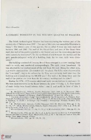 8: A ceramic workshop in the western quarter of Palmyra