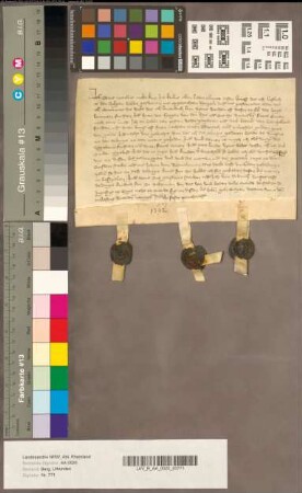 Evert Nienhus schwört dem Herzog von Berg Urfehde.