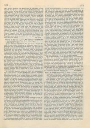 213-214 [Rezension] Schmidt, Wilhelm, Die göttliche Vorsehung und das Selbstleben der Welt