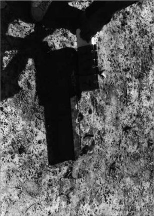 Grabstein 117 (Index: 99798097) Material: Sandstein Zustand: leicht verwittert Maße HxBxT: 0x0x0 cm Beschreibung: Sockel: Grabstein 117