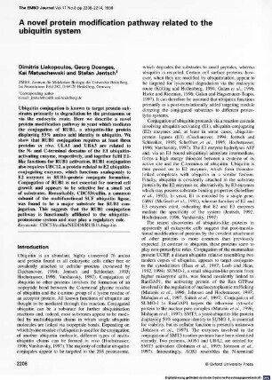 A novel protein modification pathway related to the ubiquitin system