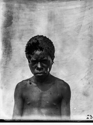 Jungenportrait (Forschungsreise durch Deutsch-Guinea 1909)