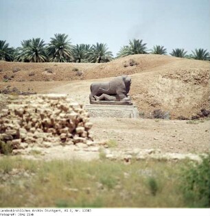Irak: Löwe von Babylon