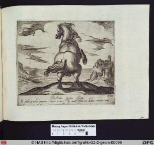 Ein aufbäumendes Pferd, von hinten gesehen, vor einer Meereslandschaft.