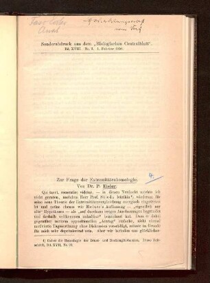 Zur Frage der Extremitätenhomologie